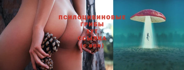 кокс Бородино