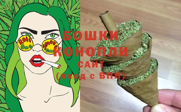 мдпв Бронницы