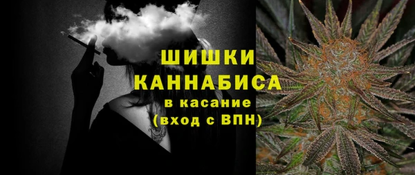 мдпв Бронницы