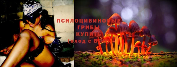 кокс Бородино