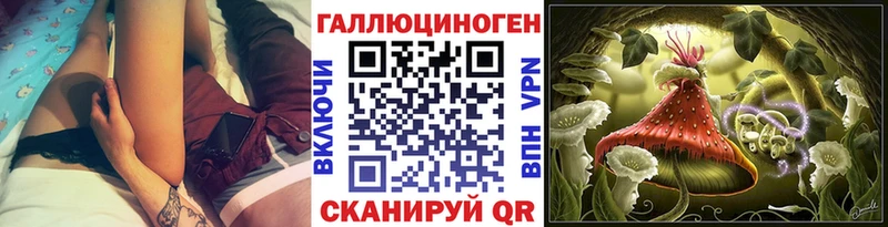 Псилоцибиновые грибы Cubensis  Кемерово 